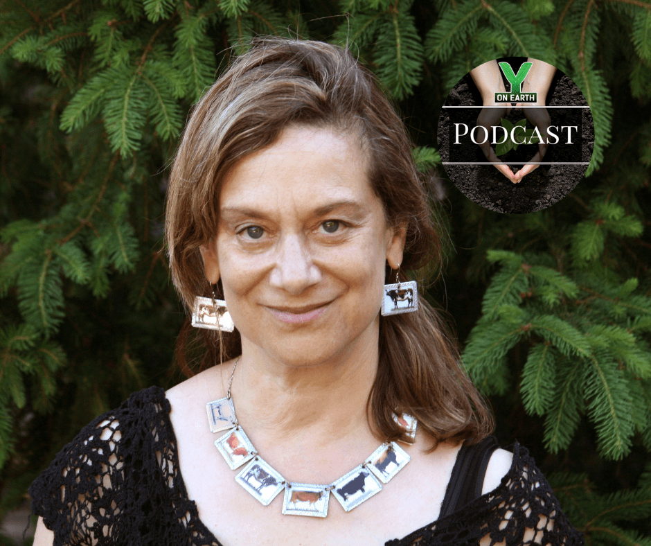 Stewardship & Sustainability Series