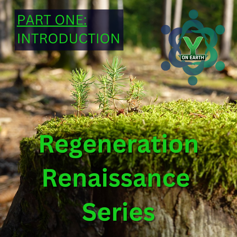 Regeneration Renaissance Series - Part One: Introduction