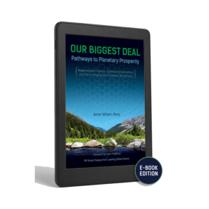 Our Biggest Deal - E-Book